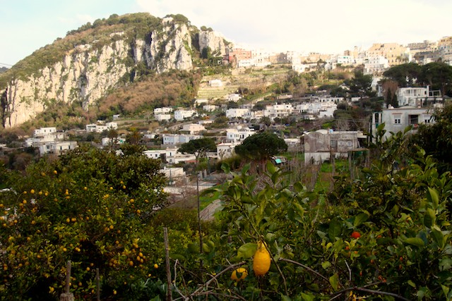 Hügel Capri